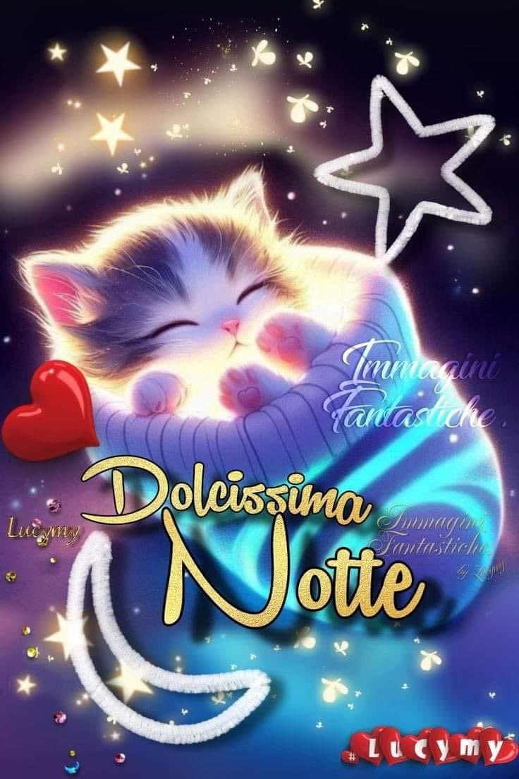 RITABIANCHi56 tweet media