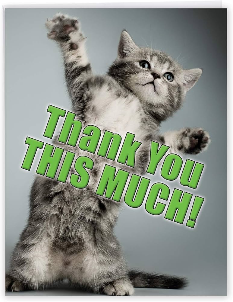 Michael Sun, seeker of opportunities ✈️MC Vegas tweet media