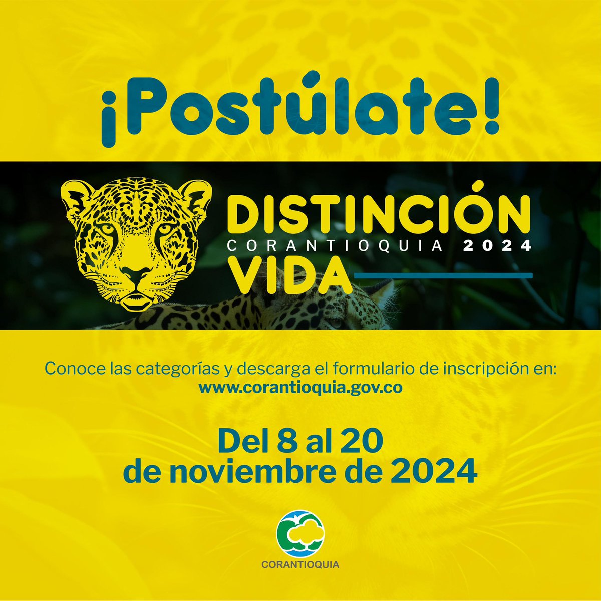 Corantioquia's tweet image. 🤩🏅 Postúlate a #DistinciónVida 2024, el máximo galardón de nuestra Corporación. 🙌🏼

👉Quienes se pueden postular, cómo hacerlo y hasta cuándo. 🗓️

Acá te lo contamos. 👇🏼

#Corantioquia #ConectadosPorLaVida