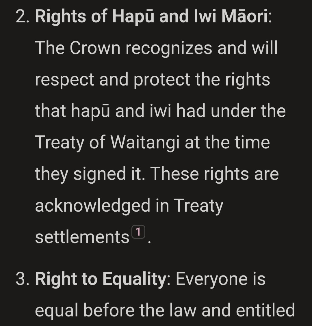 RE4LMomsCLUB's tweet photo. National Hikoi - at the highest level we should see a peaceful protest...... Right to Equality: Everyone is equal before the law and is entitled to equal protection and ...... all individuals enjoy the same fundamental human ... @NZParliament @Breakfaston1 https://t.co/lgeMz7eeOI