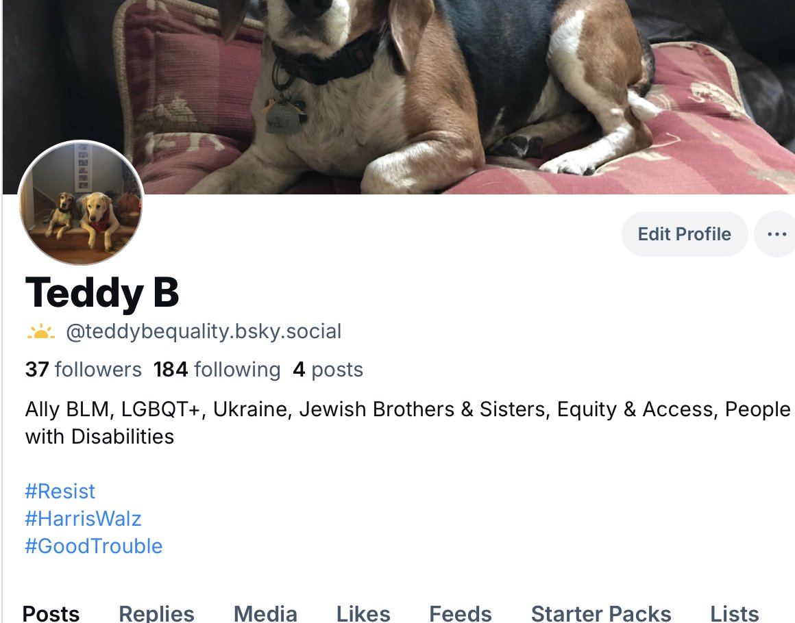 TeddyB 🟦💙 Justice Delayed Is Justice Denied tweet media