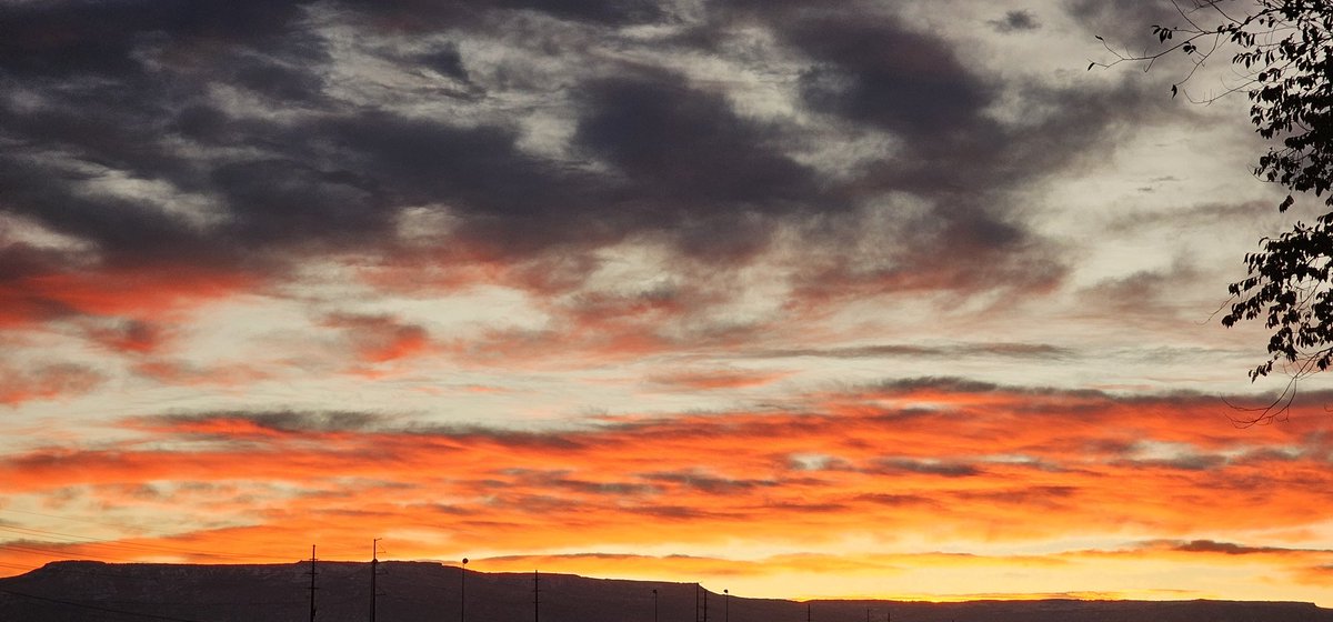 Sun Emoji ☀️ tweet media