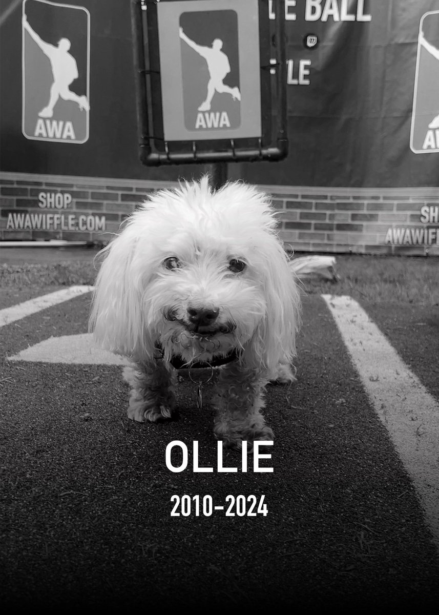 awawiffle's tweet photo. We are Sorry to Report that League Mascot and Founding Member Ollie has Passed Away at the Age of 14.

Ollie’s Impact On and Off the Field for the Game of Wiffle Ball Revolutionized the Sport, and his Impact will Live on for Generations.

#dingersornothing #wiffleball https://t.co/840fiUZHRJ
