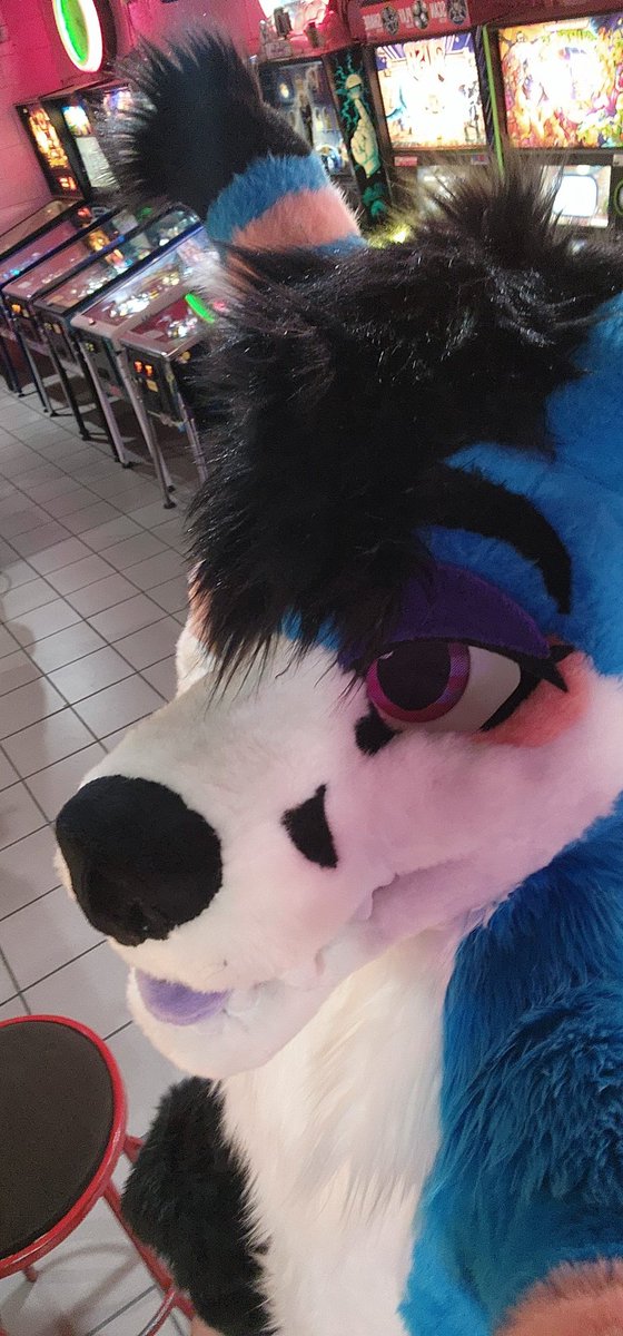Spooky Fox🔜AC2025 tweet media