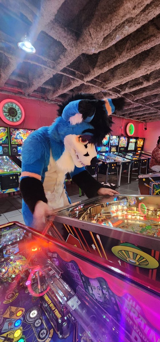 Spooky Fox🔜AC2025 tweet media