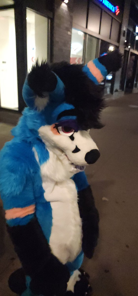 Spooky Fox🔜AC2025 tweet media