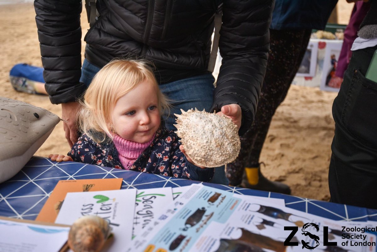 🦀🐚We celebrated with sand art led by the talented <a href="/soul2sand1/">soul2sand</a>, marine viewing tanks, live Welsh folk music, a beach clean-up with <a href="/Keep_Wales_Tidy/">Keep Wales Tidy</a> , and ocean literacy activities with <a href="/North_Wales_WT/">North Wales Wildlife Trust</a>. A fantastic day connecting with our #CoastalHeritage #BaeConwy #Community ✨
