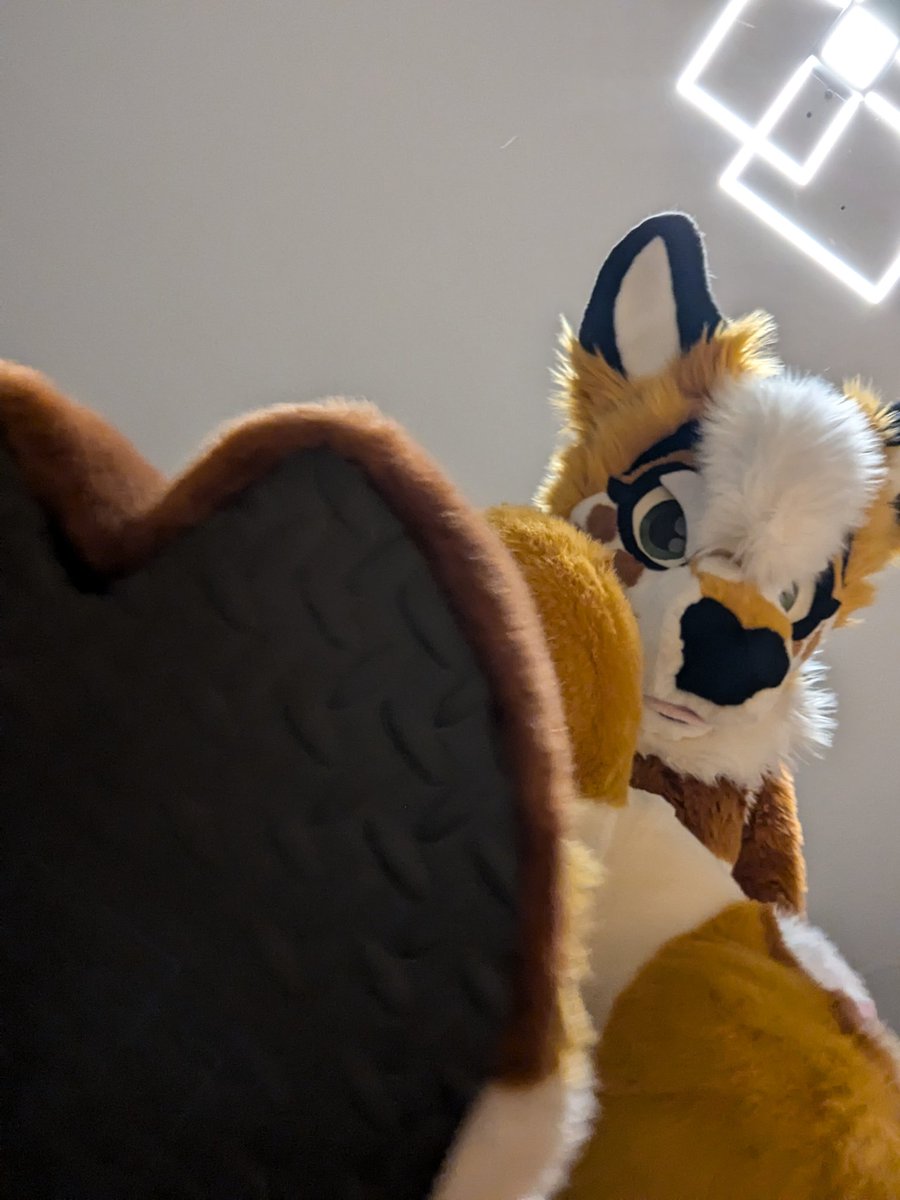 ATTENTION!!! URGENT!!

GIANT wild deer on the loose!!! 🦌 
If necessary distract it with strawberries!! 🍓 

#FursuitFriday