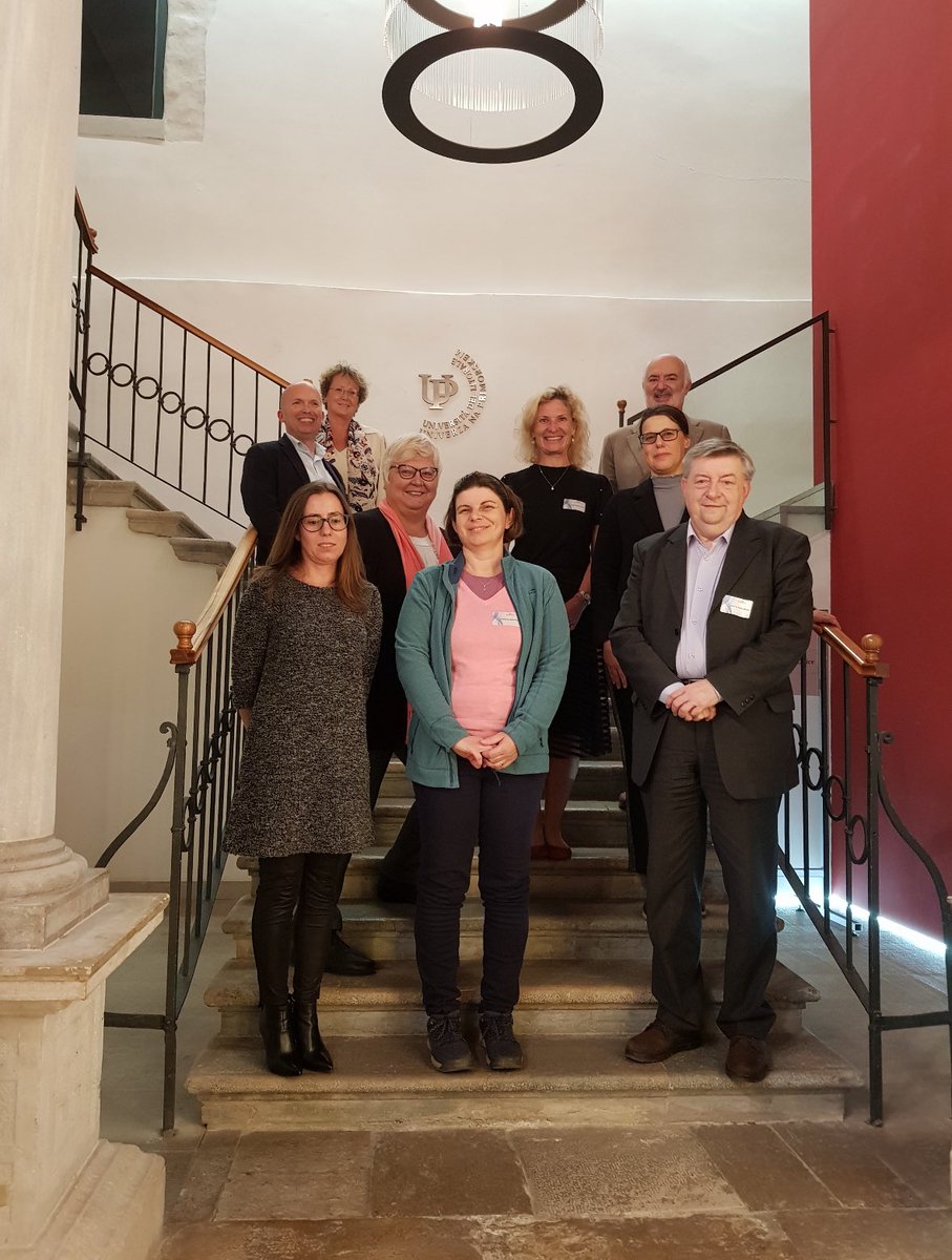 Yellow Window Design tweet media