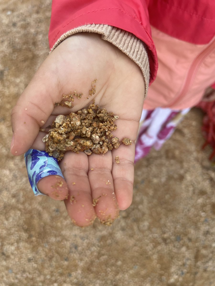 dbarman's tweet photo. I worked with a 3-year-old today at @NCBotGarden looking at subitizing or counting by pattern. We looked at what’s easy and what’s difficult/impossible to count like pebbles, and read @sethasfishman’s book ‘A Hundred Billion Trillion Stars’. #mathisfun #mtbos #mathwalk #mtbos https://t.co/tclbYe6BP6