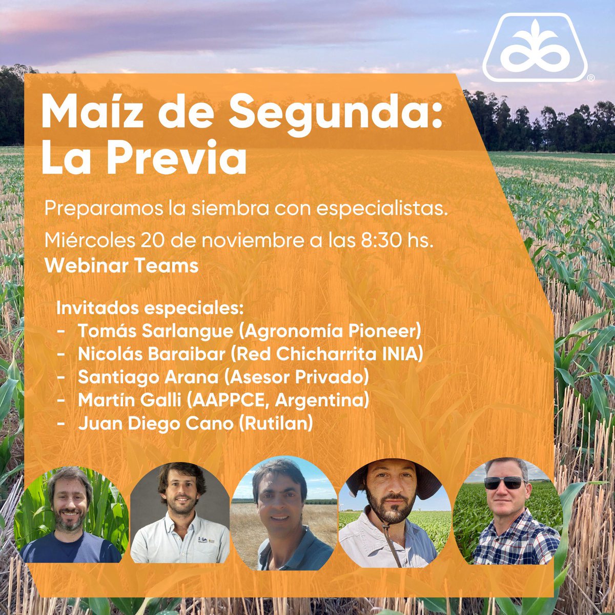 Conectate a la previa de maíz de segunda. Un panel de especialistas tratará los aspectos más relevantes, como la actualidad de la chicharrita en la región, consideraciones para altos rendimientos, tecnología, oportunidades y futuro en la segunda. No te lo pierdas!