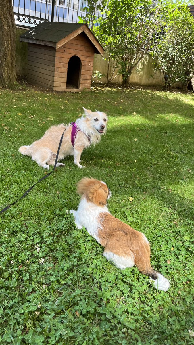 beminle arkdaş olabilceni düşümdü kucuksumuk