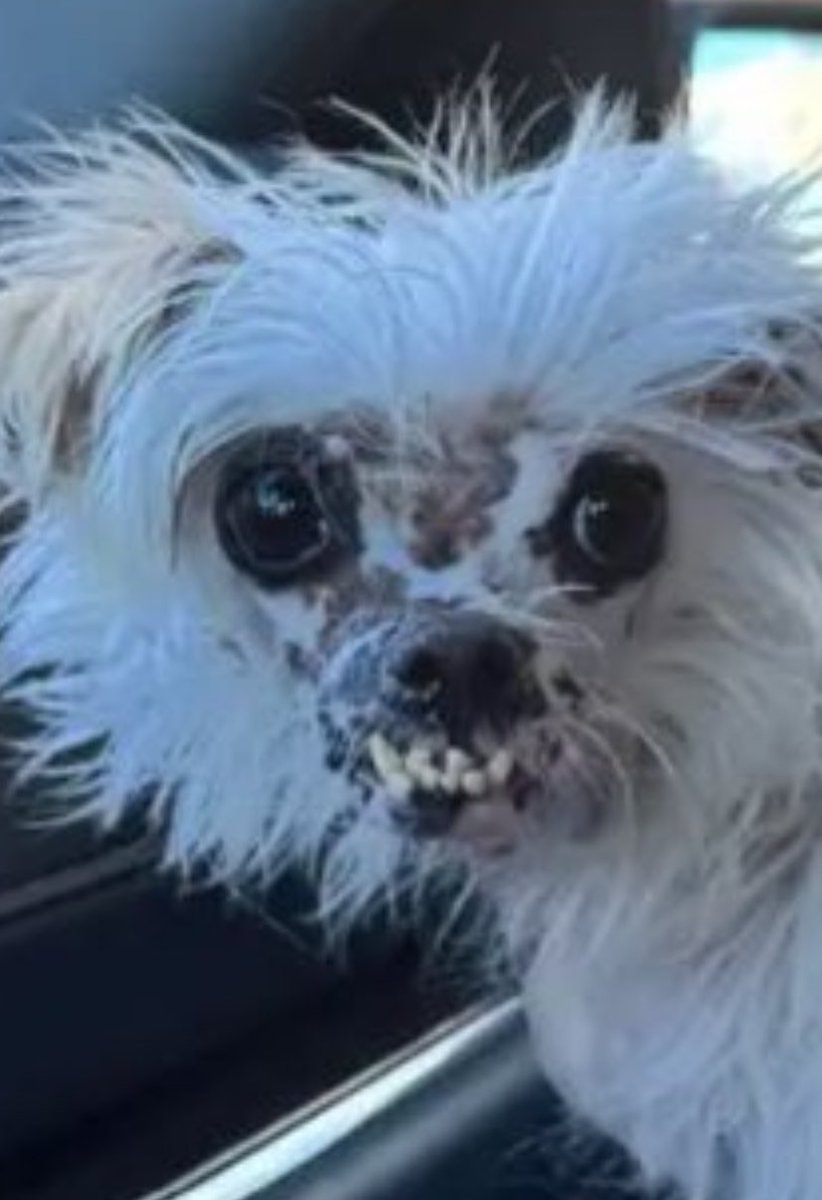 sydneyelainexo's tweet photo. imagine this fuckin thing calling you https://t.co/2TQHWo0sTK