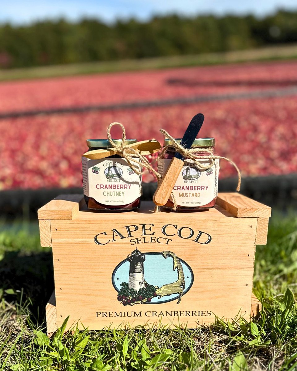 Looking for a unique host gift for #Thanksgiving? Or are you hoping to elevate your canned #cranberry sauce this holiday season? Check out our Cranberry Chutney and Cranberry Mustard pantry products. Shop our products at shop.capecodselect.com.