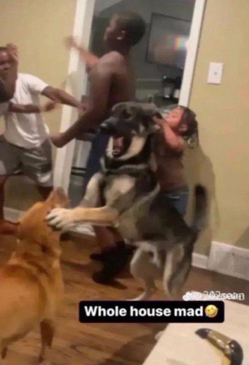 fwaspec's tweet image. 