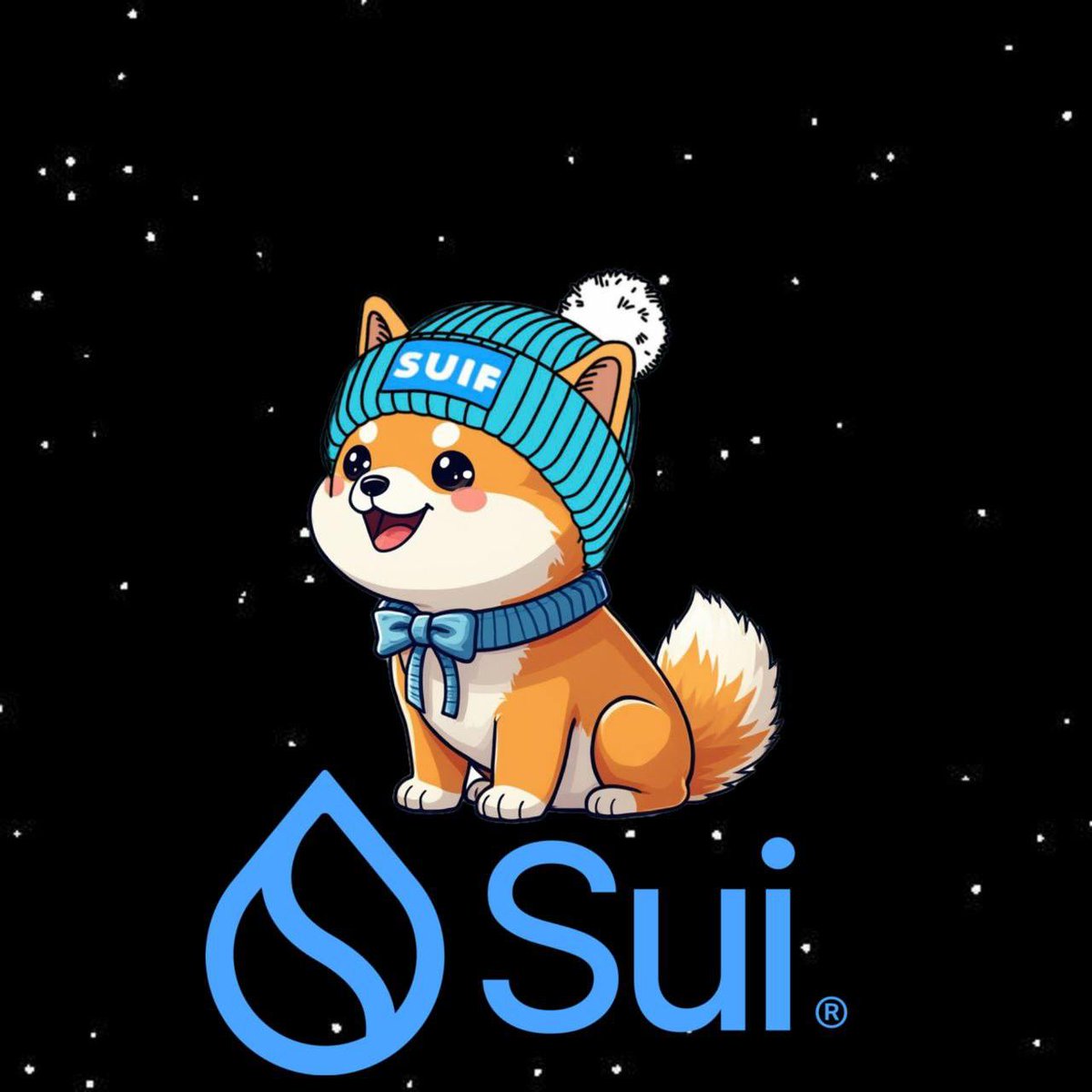 Suiba Wif Hat $SUIF tweet media