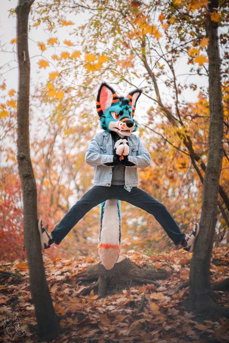 Mind must be master of the body. 🥷🙏

Happy #FursuiFriday
🪡: <a href="/Fionka_Fursuits/">🐈 Fionka Fursuits 🐈</a> 
📸: <a href="/vlaaacek/">VlaceK</a>