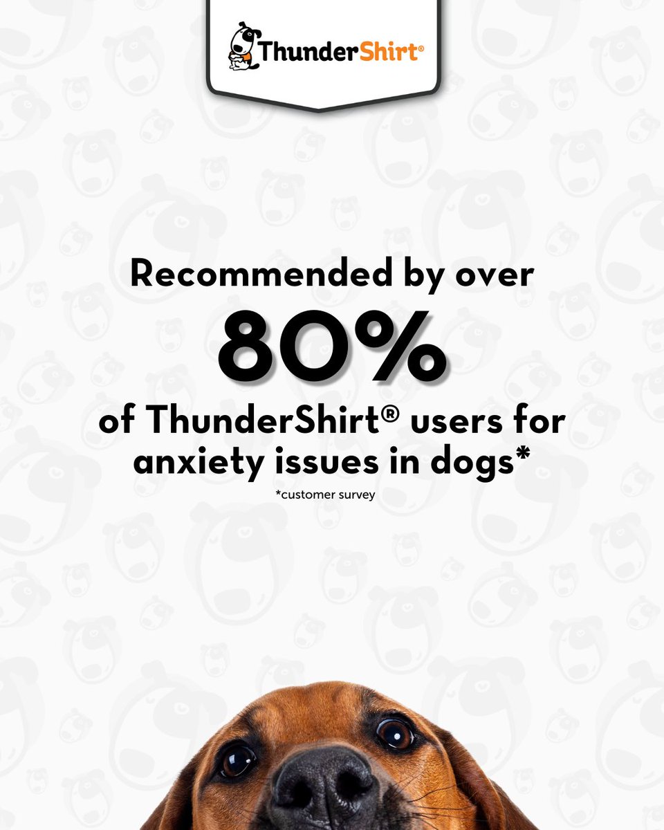 We love our ThunderShirt just as much as our community does, and it shows 🙌 The only question now is what color to get... 🐶