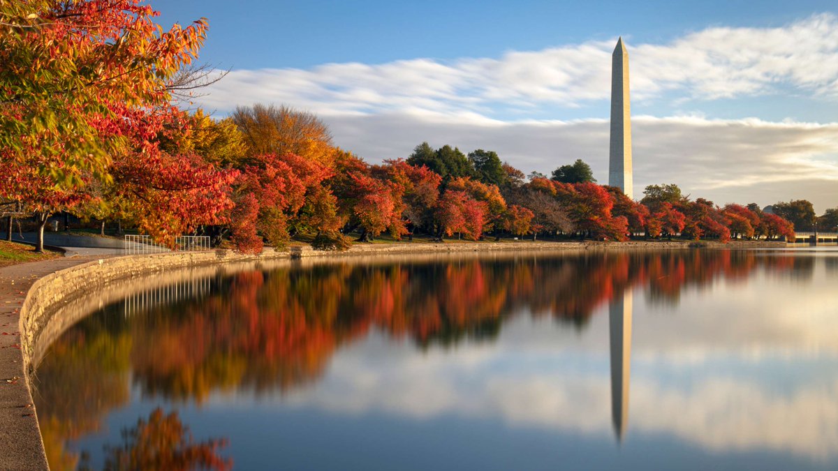 Our team is heading to the world’s premier rheumatology event this weekend in Washington, D.C.: ACR Convergence 2024. Stay tuned for updates on our booth location and more information! #CureArthritis #ACR2024