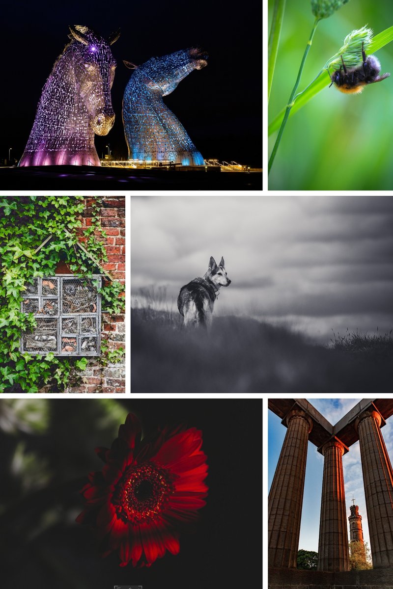emmasamuelphoto's tweet image. Hi there! I’m Emma, a photographer and audio-visual AI artist from Scotland. 📷🏴
I've been a photographer for 16 years and my work is inspired by the wonders of nature – from the tiniest details of flowers and insects to sweeping landscapes and wildlife.
I also merge this love…