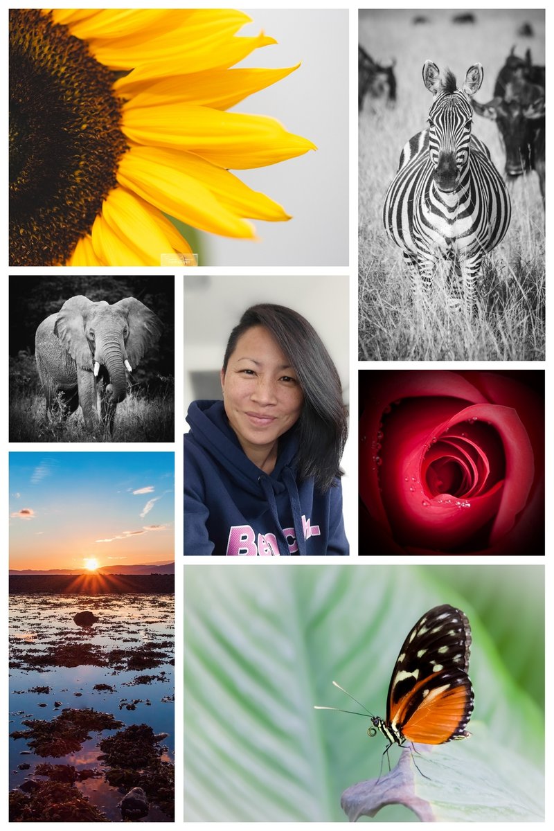 emmasamuelphoto's tweet image. Hi there! I’m Emma, a photographer and audio-visual AI artist from Scotland. 📷🏴
I've been a photographer for 16 years and my work is inspired by the wonders of nature – from the tiniest details of flowers and insects to sweeping landscapes and wildlife.
I also merge this love…
