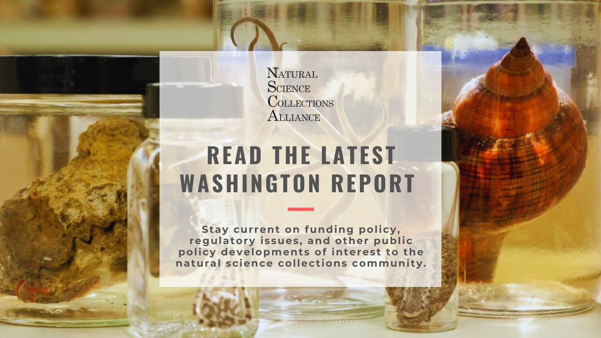 The November 2024 Washington Report is out! Read about anticipated changes for science under a second Trump admin, collections in the National Academies’ report on continental-scale biology, and other news. #CollectionsAreEssential mailchi.mp/3f1652646961/n…