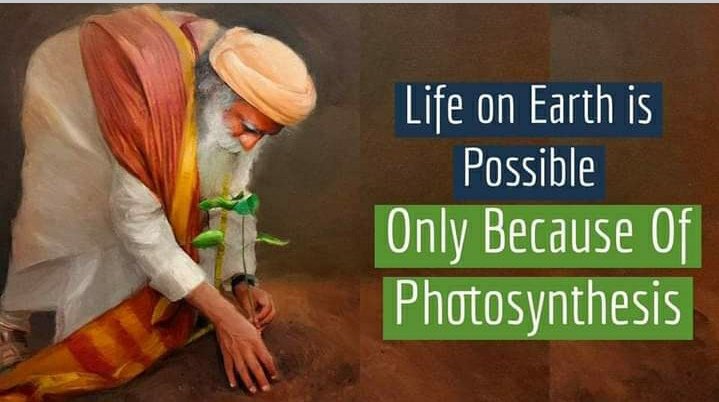 ElsaMessilaElsa's tweet photo. The action of soil microorganisms is to bring nourishment to crops, making our food rich. 
Microorganisms must be nourished with profitable organic matter from plants and animals.Microorganisms will transform an uncertain future into a secure future. Let's feed them.
#SaveSoil https://t.co/CWhjbSWrRe