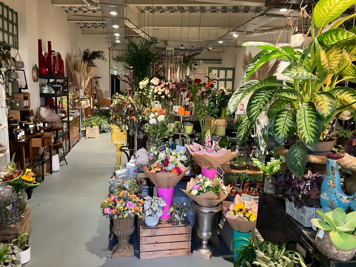 ProjectIconic's tweet image. From concept to reality! 🔨✨ 

Check out this amazing transformation we completed last year in Wokingham. Swipe to see the before &amp;amp; after!

#Transformation #ConstructionSuccess #BeforeAndAfter #Wokingham