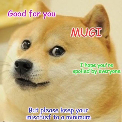 Mugi tweet media