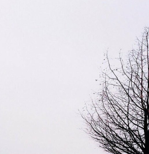poetical photos. tweet media