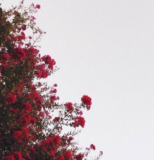 poetical photos. (@poeticalphotos) on Twitter photo 