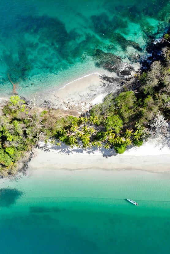 TheCullenLab's tweet image. The deadline to submit oral presentations for Neural Control of Movement is fast approaching! Submit by Dec. 2nd and join us in Panama this spring 😎 ncm-society.org/2025-meeting/