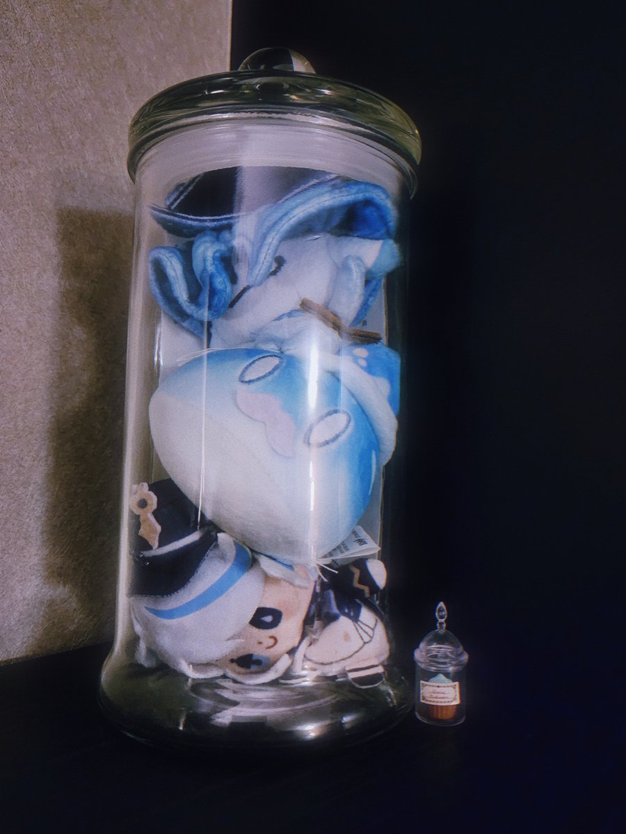 FurinaPlushieS2's tweet photo. specimens🔵 https://t.co/GJYcSDvn9x