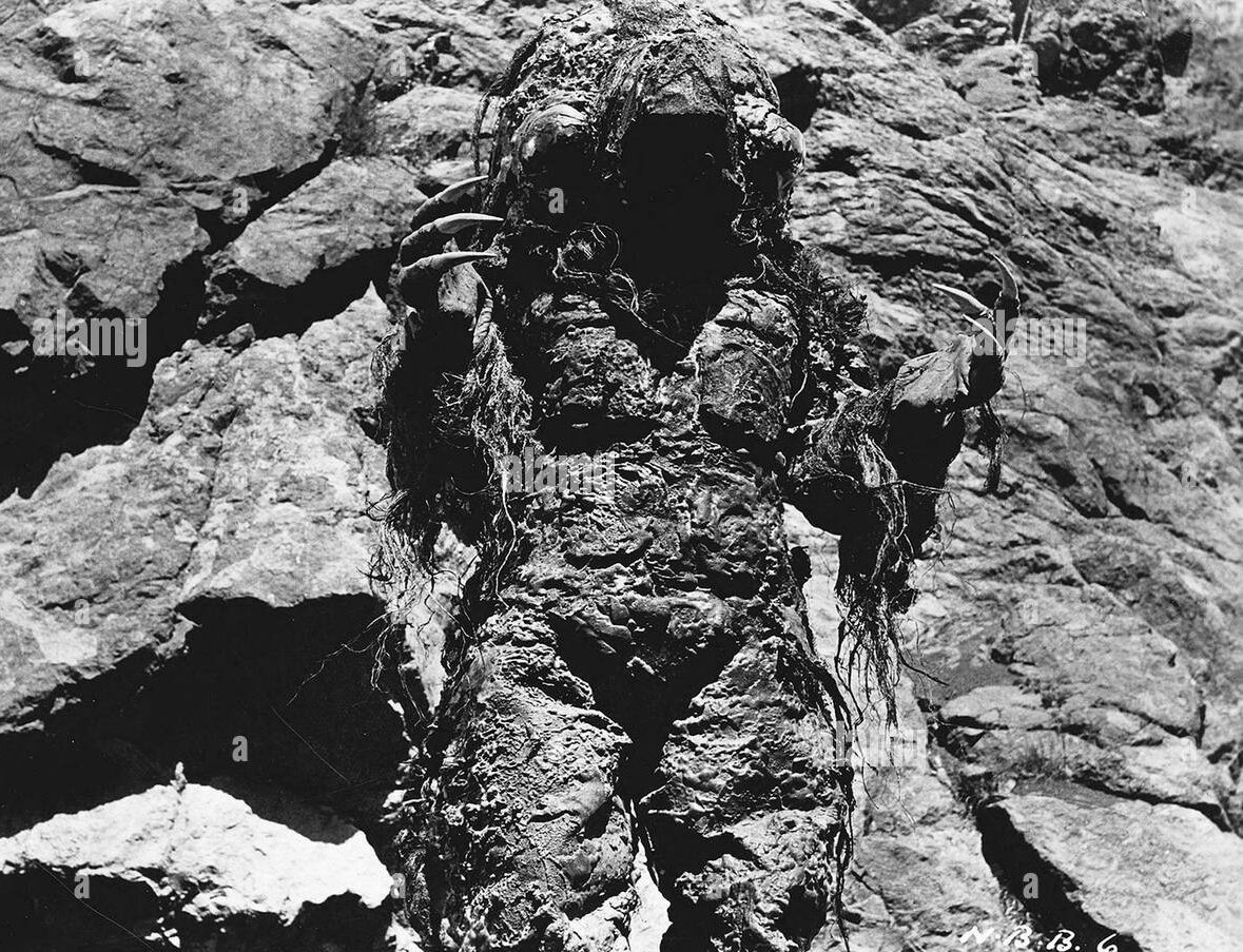 leppeppel's tweet photo. I have to pitch a fifties-style domestic sitcom to Netflix about these four sharing a living space with humorous results.

(All four films used Bronson Canyon and Caves as the shooting location for the monster's lair.) https://t.co/SWH1swgEyv