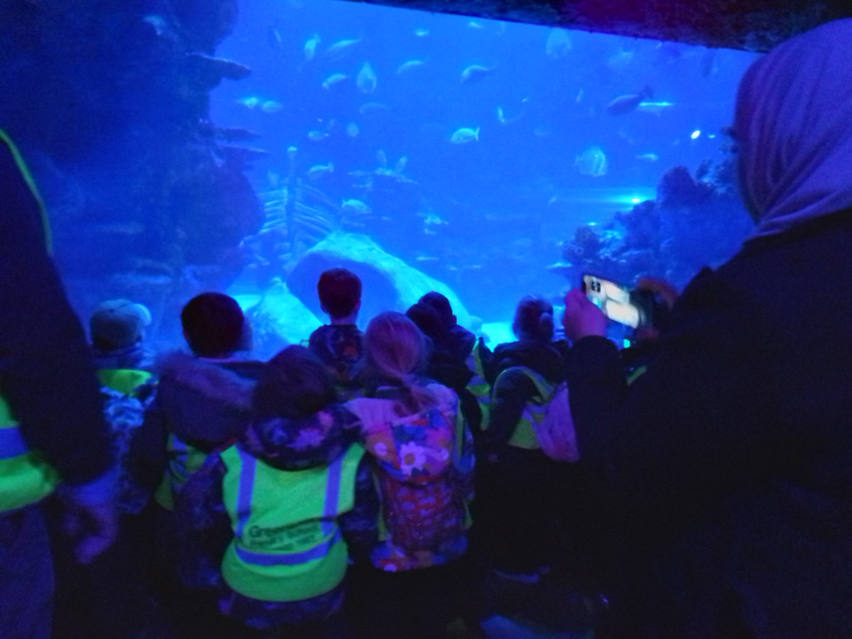Reception had a fabulous day at London Sealife today! Sharks, jellyfish, turtles, stingrays,and more! Our learning around the  Rainbow Fish story has really come to life... Now, we've met so many more of Rainbow Fish's friends from the deep sea! #eyfs #london #funforkids