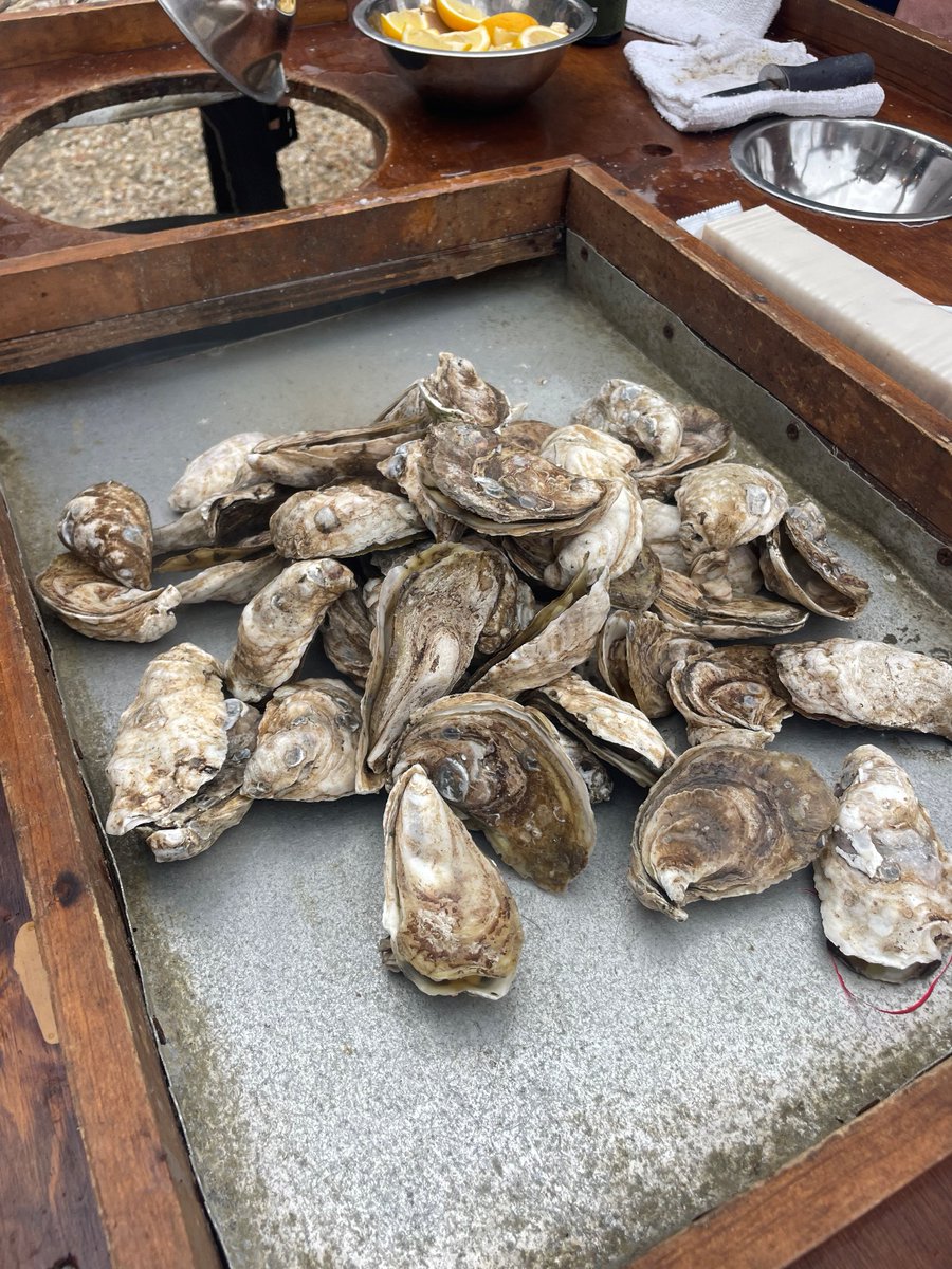 CUESNews's tweet photo. Oyster Roast season is here, and this is your reminder to recycle your oyster shells! Our friends at @SCDNR have organized a statewide oyster recycling program, where you can drop off your shells at one of their recycling centers across the state! 🦪♻️ https://t.co/xg7KYMOgka