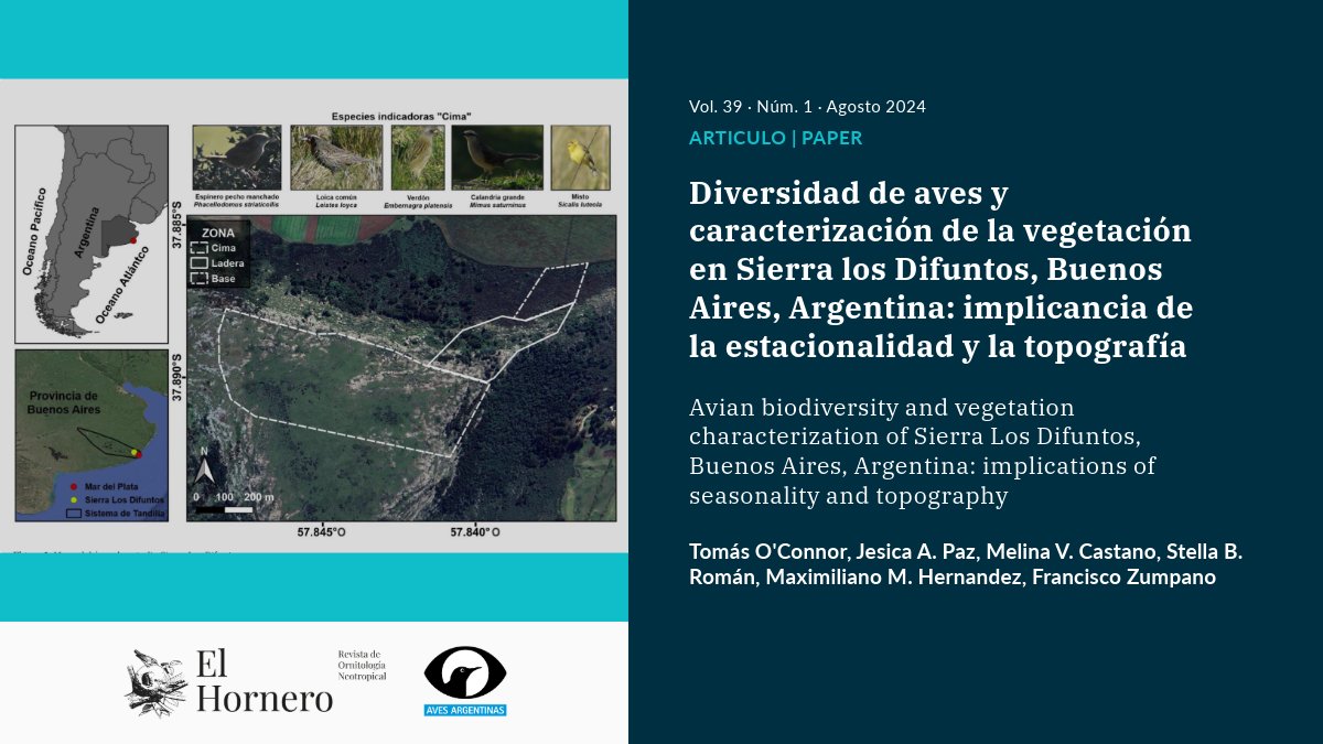 #ElHornero
[ARTÍCULOS]
🔹 Diversidad de aves y caracterización de la vegetación en Sierra los Difuntos, Bs. As., Arg.: implicancia de la estacionalidad y la topografía
✍️ T O'Connor <a href="/JesipazAndrea/">Jesica Paz</a> <a href="/melicast93/">Melina Castano</a> SB Román <a href="/Maxi_MHernandez/">Maxi.Hernandez</a> F Zumpano <a href="/IIMyCAr/">IIMyC-UNMdP-CONICET</a>
🔓 bit.ly/4fH7an0