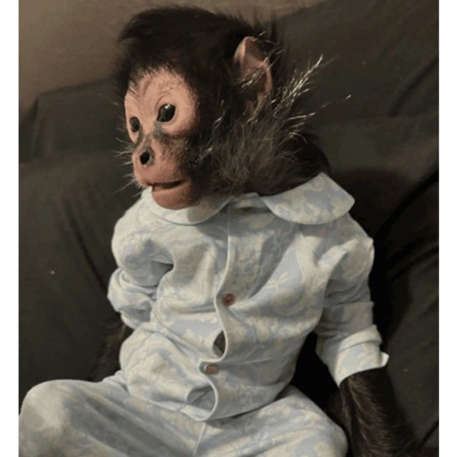 CRYPTO POFF tweet media