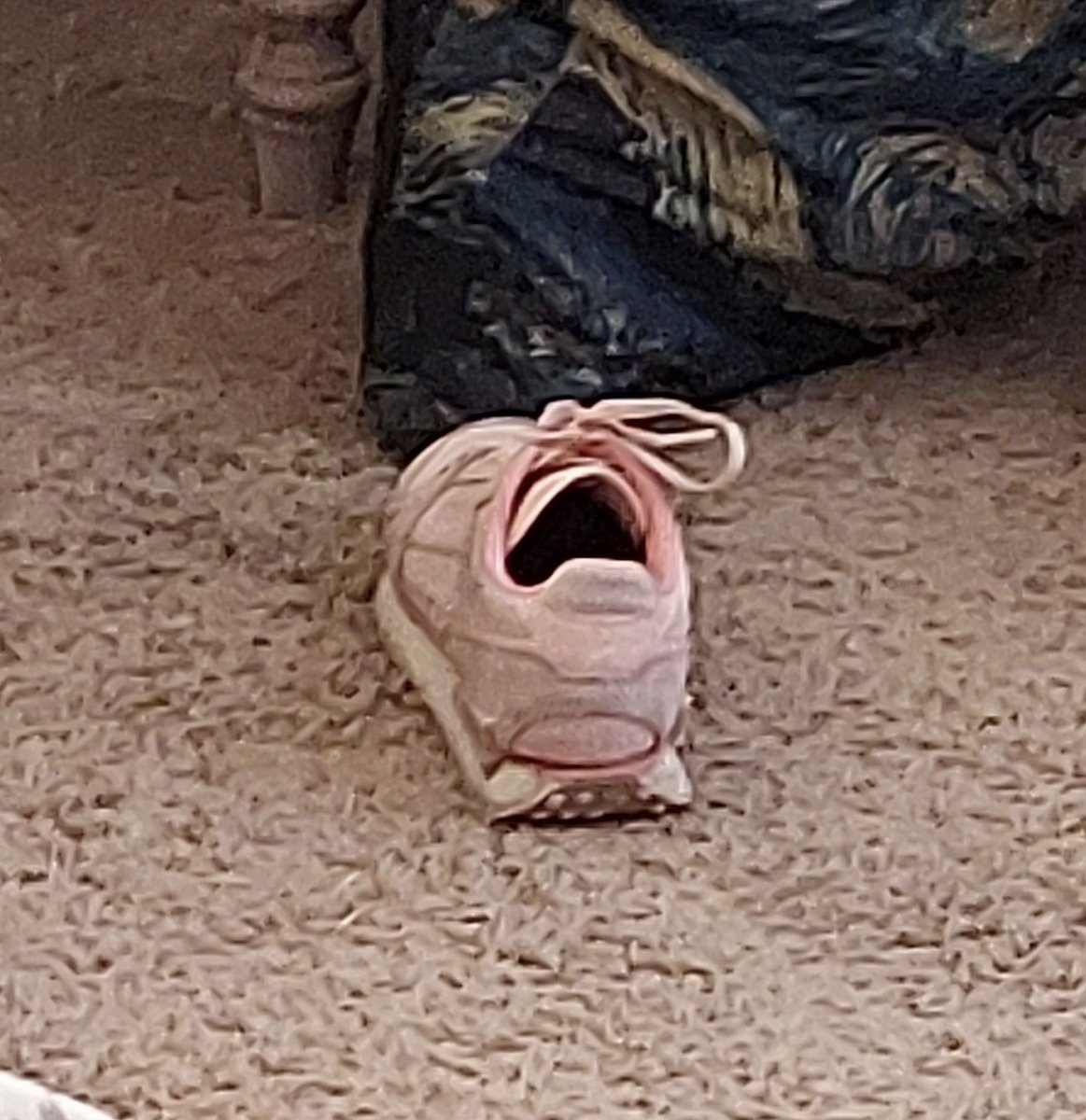 ly’🪽 (@harlsqxn) on Twitter photo 