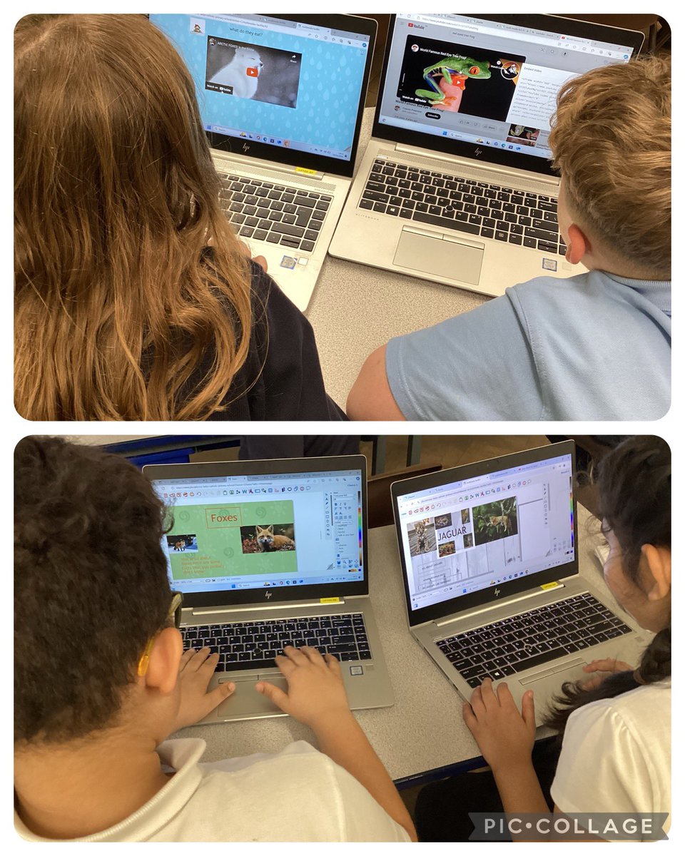 OurLadysCP's tweet image. Completing their multimedia fact files on their favourite animals, Year 4 demonstrated some wonderful teamwork, sharing their computing skills to support each other #ComputingInAction #Teamwork #CatholicLife @OurLadyandAllS1
