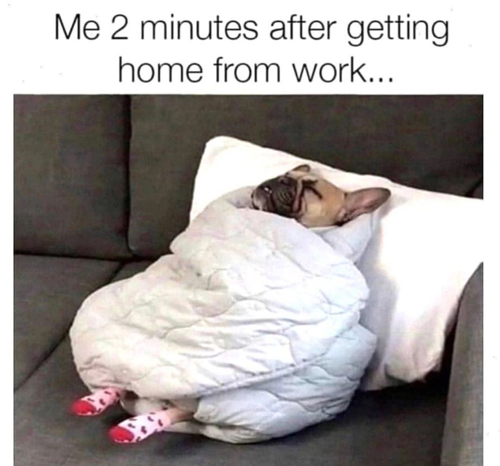 WholesomeMemes (@wholesomememe) on Twitter photo 