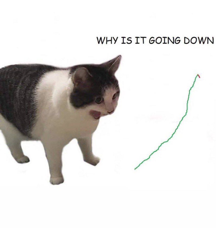 naiivememe's tweet photo. New Trader who bought Bitcoin at 93,500 this week https://t.co/yMBDeoobb3