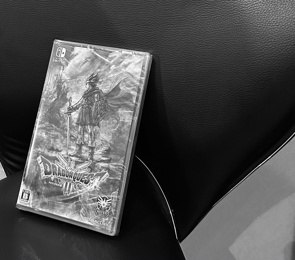 jp_sino's tweet photo. #DQ3 https://t.co/7elTDYzUKY