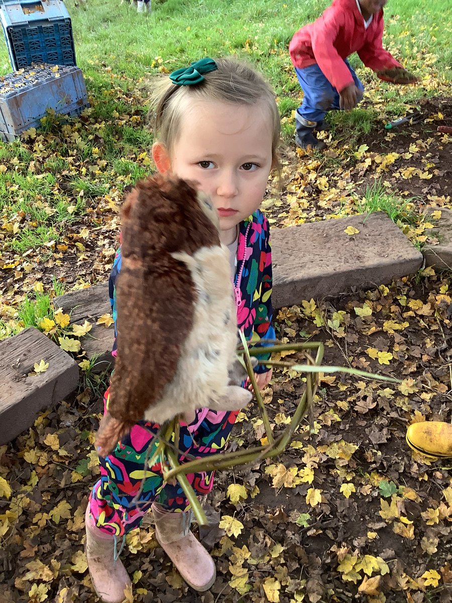 LittledeanSch's tweet photo. This week we looked at a real bird's nest. The children were then challenged to make a nest for the forest school birds. https://t.co/b88gAaRilB