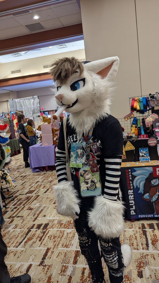 BroadwayTheCat's tweet photo. Who gave this CAT the BOOF????

#FursuitFriday https://t.co/iHAuDPxE7C