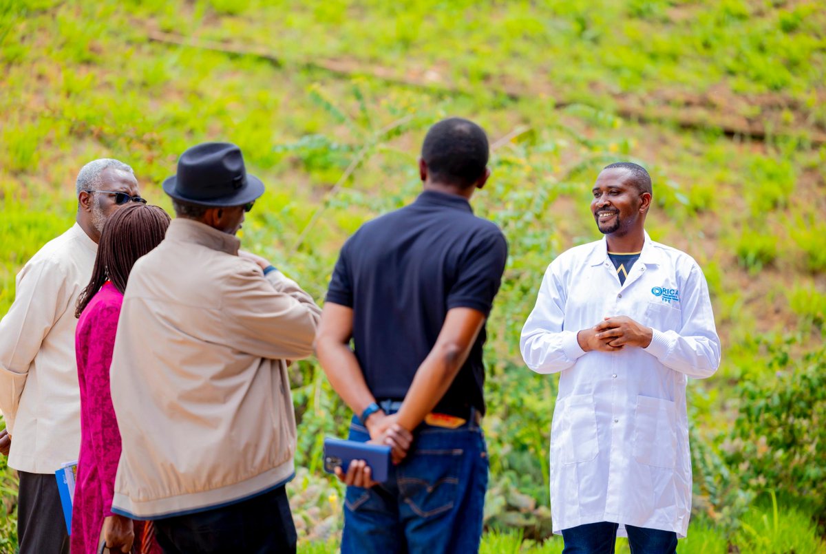 Rwanda Institute for Conservation Agriculture (@rica_rwanda) on Twitter photo 