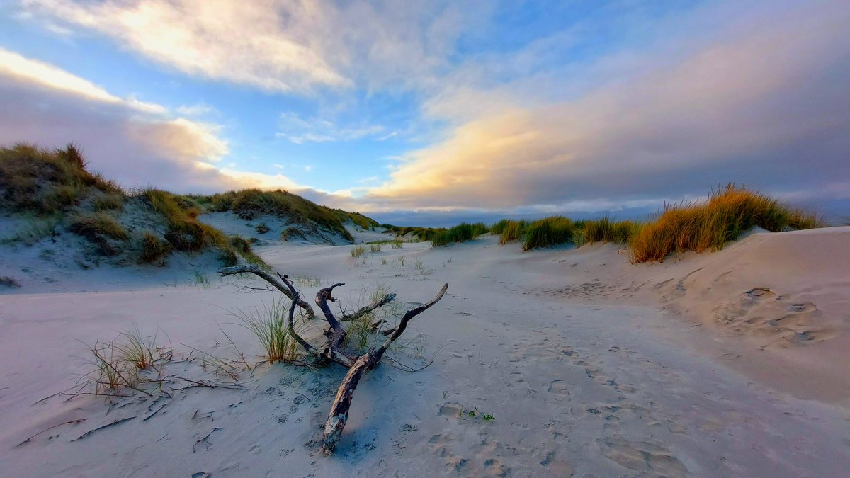 HettieZurMuhlen's tweet image. Kan niet kiezen......🤪🙄
Mooiste luchten vanmiddag 
#Ameland #mooieluchten #wolken #regenboog #eilandleven #spiegeling