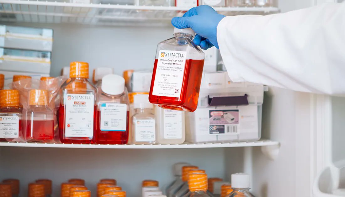 STEMCELLTech's tweet image. When was the last time you tidied up your lab? Your emails? After reading our article on how to tidy up, comment below which area of your research life you will tidy first: bit.ly/3DGmGhA #TidyLab

🧹 Storage
🧼 Lab bench
🖥️ Computer files
⌚ Time