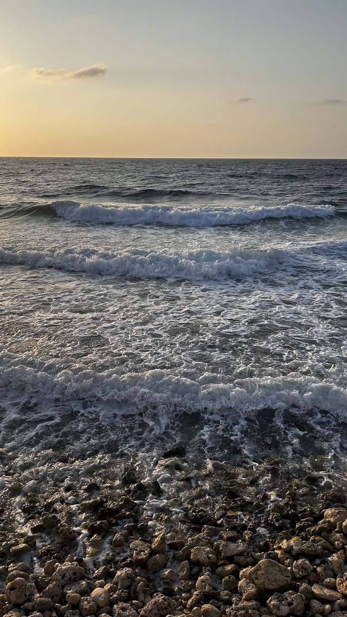 ☕️🌊