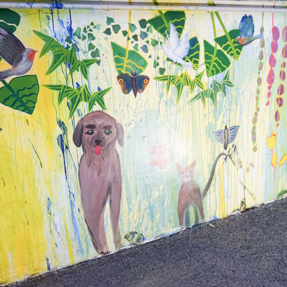 Ville de Reims tweet media